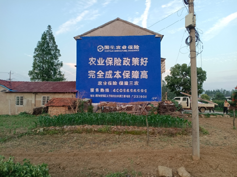 贵溪墙体广告的优劣势你知道吗?