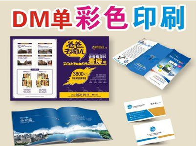 贵溪单页印刷，色彩搭配简单。